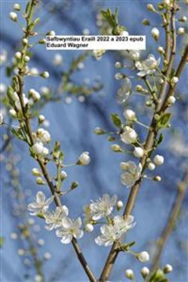 Safbwyntiau Eraill 2022 a 2023 epub - cover