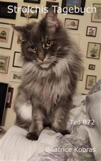 Strolchis Tagebuch - Teil 872 - cover