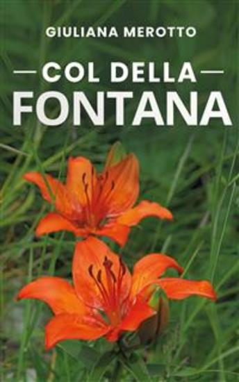 Col della Fontana - cover