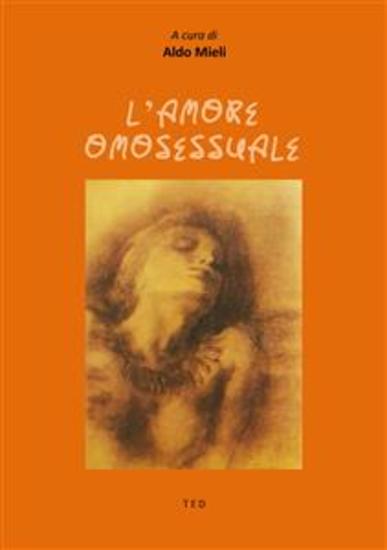 L'amore omosessuale - cover