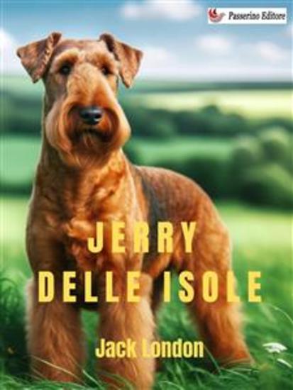 Jerry delle isole - cover