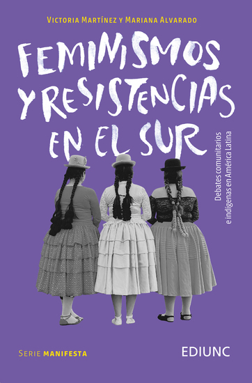 Feminismos y resistencias en el Sur - Debates comunitarios e indígenas en América Latina - cover
