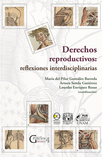 Derechos reproductivos: reflexiones interdisciplinarias - cover