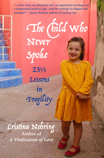 The Child Who Never Spoke - 23½ Lessons in Fragility - cover