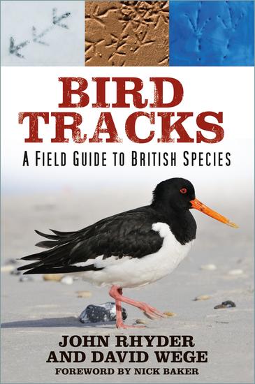 Bird Tracks - A Field Guide to British Species - cover