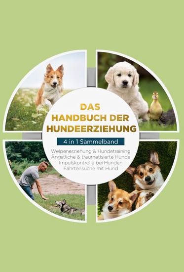 Das Handbuch der Hundeerziehung - 4 in 1 Sammelband: Impulskontrolle bei Hunden | Welpenerziehung & Hundetraining | Ängstliche & traumatisierte Hunde | Fährtensuche mit Hund - cover