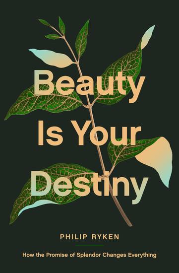 Beauty Is Your Destiny - How the Promise of Splendor Changes Everything - cover