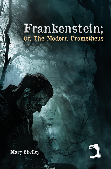 Frankenstein; Or The Modern Prometheus - cover
