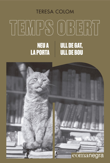 Neu a la porta Ull de gat ull de bou - Temps Obert XVIII-XIX - cover