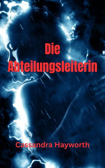 Die Abteilungsleiterin - cover