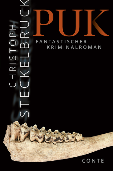 Puk - Fantastischer Kriminalroman - cover