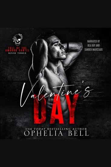 Valentine's Day - A Dark and Steamy Drug Cartel Romance - cover