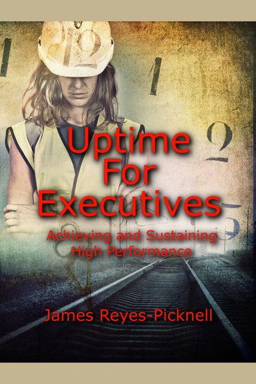 Uptime for Executives - Achieving and Sustaining High Performance - cover