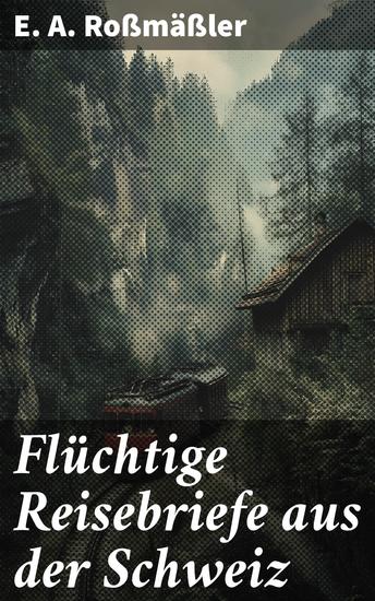 Flüchtige Reisebriefe aus der Schweiz - Eine poetische Reise durch die schweizerische Landschaft des 19 Jahrhunderts - cover