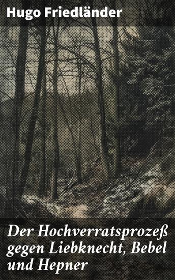 Der Hochverratsprozeß gegen Liebknecht Bebel und Hepner - Politische Gerichtssaga im frühen 20 Jh: Justizskandal gegen Sozialisten und Arbeiterführer - cover