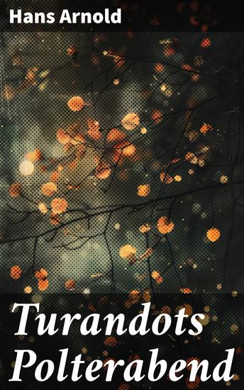 Turandots Polterabend - Eine ungewöhnliche Ehezeremonie im persischen Königreich - Liebe Macht und Schicksal in historischer Kulisse - cover