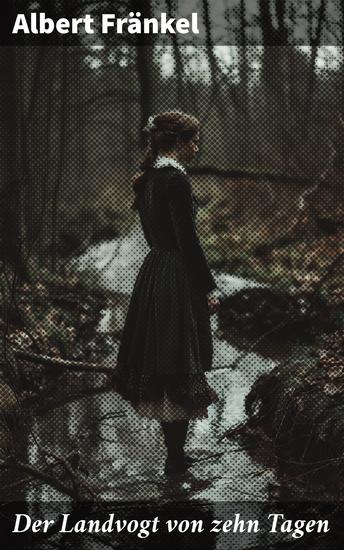Der Landvogt von zehn Tagen - Intrigen und Leidenschaft im historischen Roman des 19 Jahrhunderts - cover