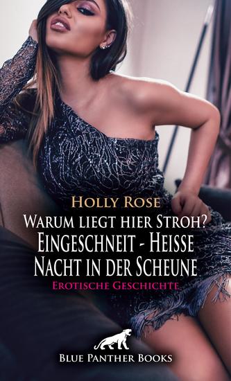 Warum liegt hier Stroh? Eingeschneit - Heiße Nacht in der Scheune | Erotische Geschichte - Und da ging es dann ziemlich heiß her - cover