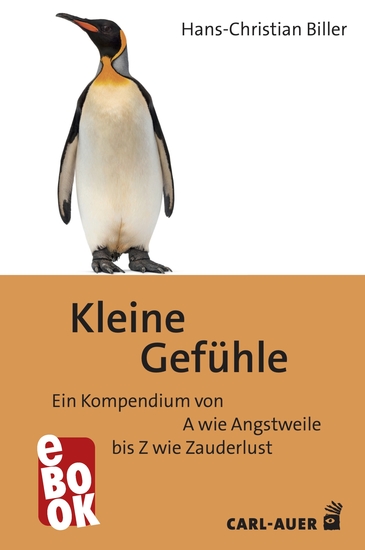 Kleine Gefühle - Ein Kompendium von A wie Angstweile bis Z wie Zauderlust - cover