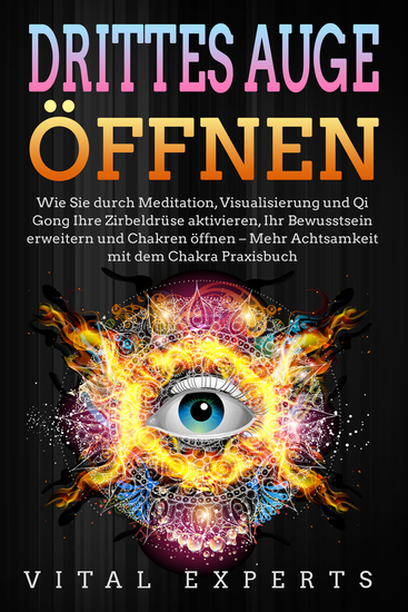 DRITTES AUGE ÖFFNEN: Wie Sie durch Meditation Visualisierung und Qi Gong Ihre Zirbeldrüse aktivieren Ihr Bewusstsein erweitern und Chakren öffnen - Mehr Achtsamkeit mit dem Chakra Praxisbuch - cover