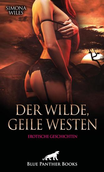 Der wilde geile Westen | Erotische Geschichten - Harte Kerle - weites Land - cover