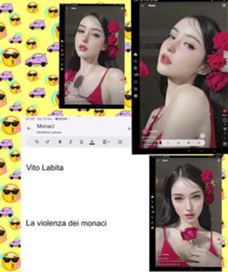 La violenza dei monaci - cover