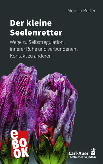 Der kleine Seelenretter - Wege zu Selbstregulation innerer Ruhe und verbundenem Kontakt zu anderen - cover