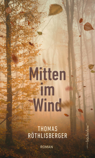 Mitten im Wind - cover