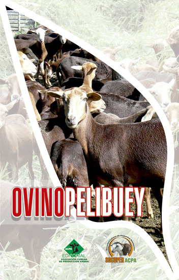 Ovino pelibuey - cover