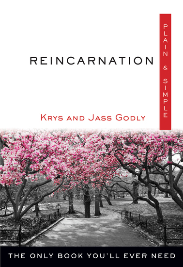 Reincarnation Plain & Simple - The Only Book You'll Ever Need - cover