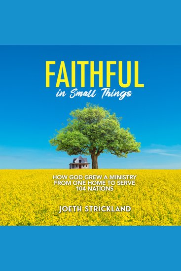 Faithful in Small Things - How God Grew a Ministry from One Home to Serve 104 Nations - cover