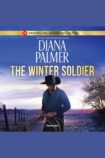 The Winter Soldier - cover