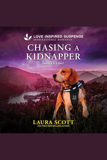 Chasing a Kidnapper - cover