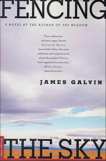 Fencing the Sky - A Novel - cover
