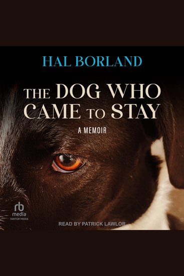The Dog Who Came to Stay - A Memoir - cover