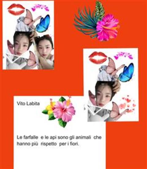Le farfalle e le api sono gli animali che hanno più rispetto per I fiori - cover