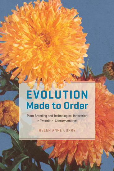 Evolution Made to Order - Plant Breeding and Technological Innovation in Twentieth-Century America - cover