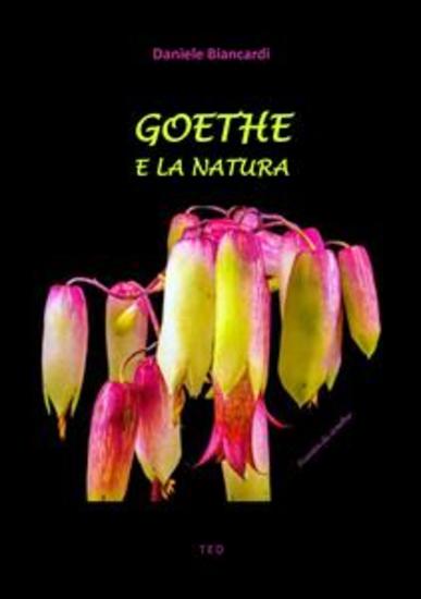 Goethe e la Natura - cover