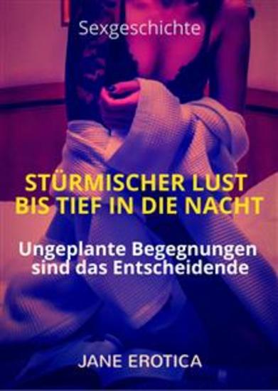 Sexgeschichte: Stürmischer Lust bis tief in die Nacht - Erotische Geschichte: Ungeplante Begegnungen sind das Entscheidende - cover