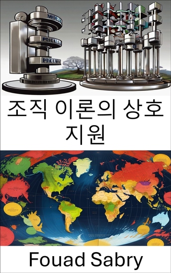 조직 이론의 상호 지원 - 정치적 성공을 위한 협력의 재구상 - cover