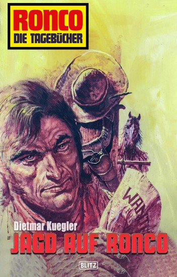 Ronco - Die Tagebücher 27: Jagd auf Ronco - cover