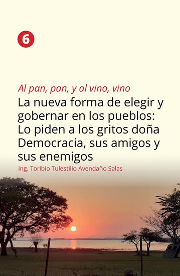 Al pan pan y al vino vino 6 - La nueva forma de elegir y gobernar en los pueblos: Lo piden a los gritos doña Democracia sus amigos y sus enemigos - cover