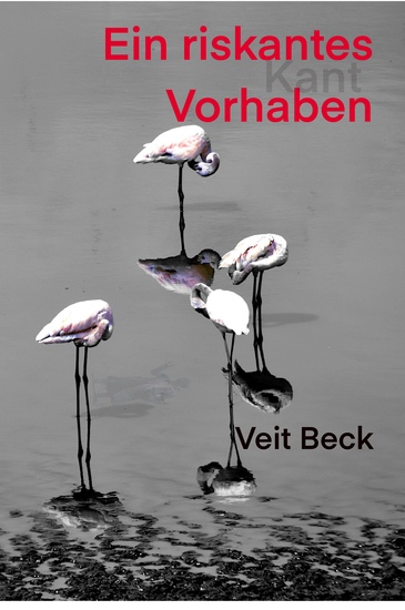 Ein riskantes Vorhaben - cover