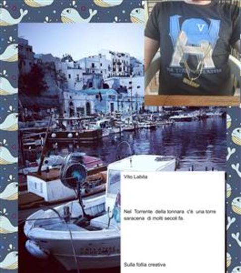 Sulla follia creativa Nel Torrente della tonnara c'è una torre saracena di molti secoli fa - cover