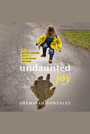 Undaunted Joy - The Revolutionary Act of Cultivating Delight - cover