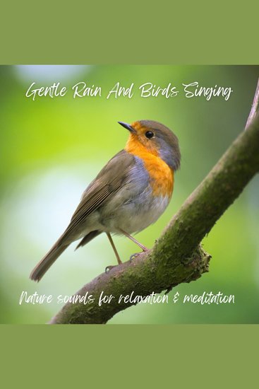 Gentle Rain and Birds Singing - Pure Nature Sounds for Relaxation & Meditation - cover