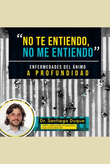 No te entiendo no me entiendo - cover