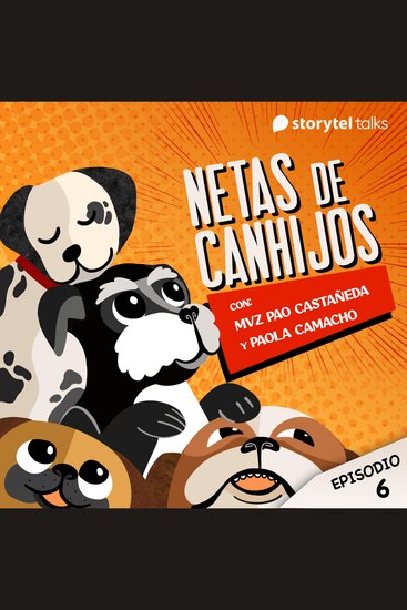 ¿Realmente estoy cuidando bien de mi perro? - cover