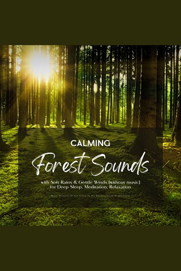 Calming Forest Sounds with Soft Rains & Gentle Winds (without music) for Deep Sleep Meditation Relaxation - Relax De-stress Or Fall Asleep To The Soothing Sound Of The Forest - cover