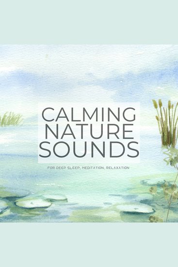 Calming Nature Sounds (Without Music) for Deep Sleep Meditation Relaxation - Gentle rain warm springs a songbird concert chirping crickets tropical storms - cover